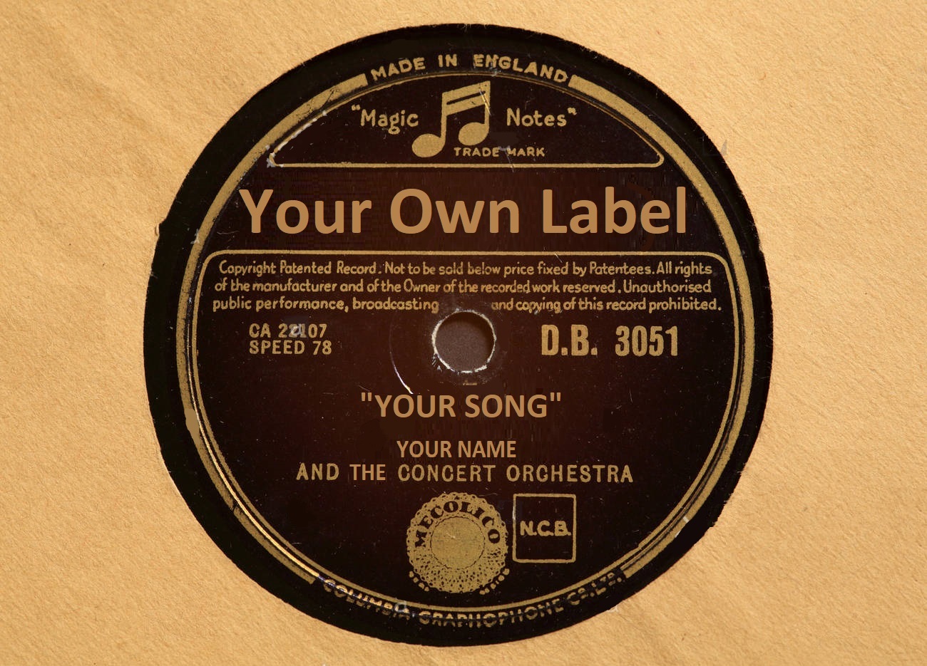 How to be your own DIY Record Label